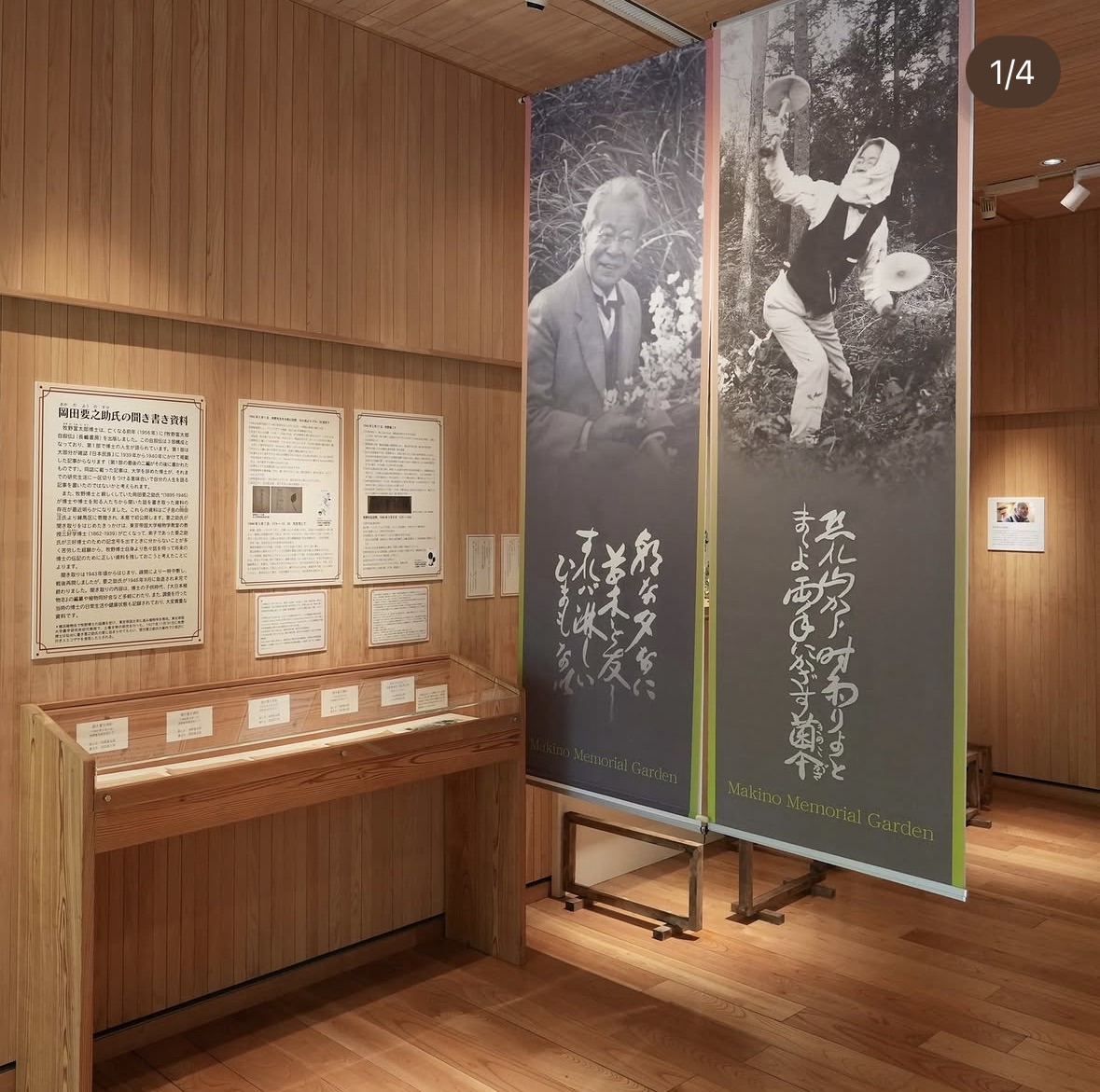 牧野記念庭園 植物