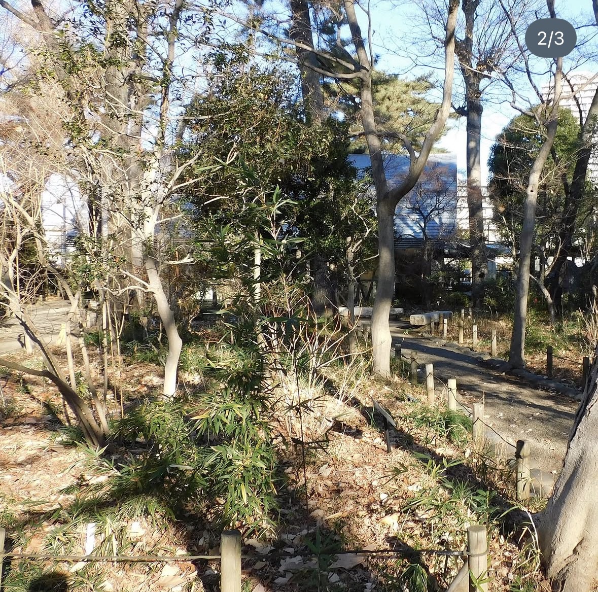 牧野記念庭園