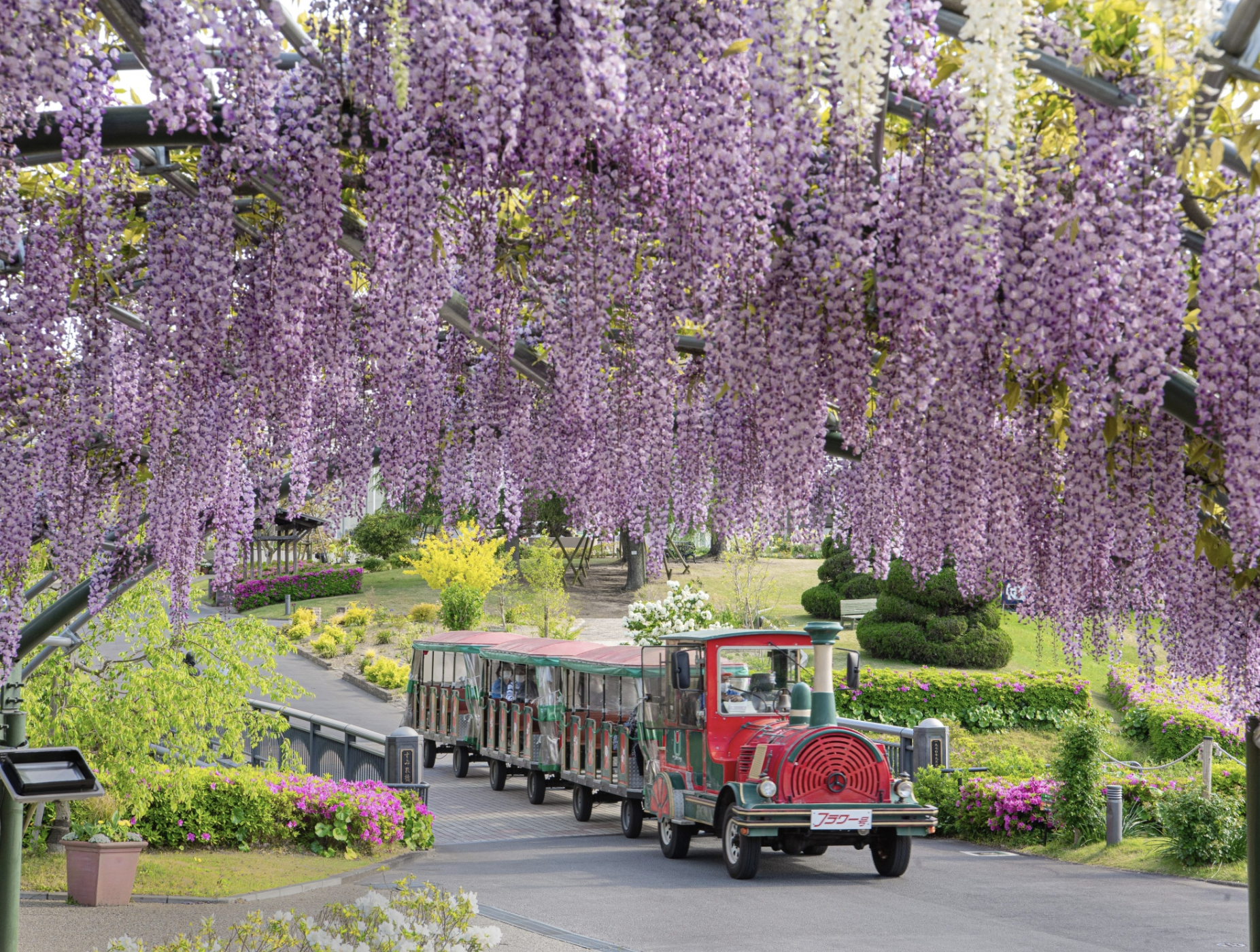 浜松フラワーパーク①