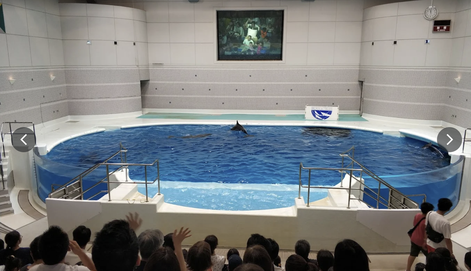 いおワールドかごしま水族館②