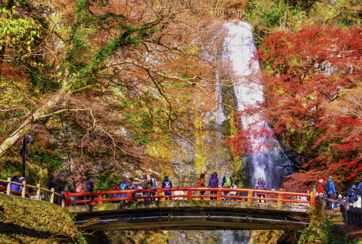 箕面大滝への道