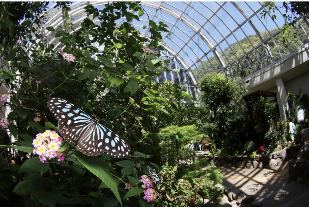 箕面公園昆虫館