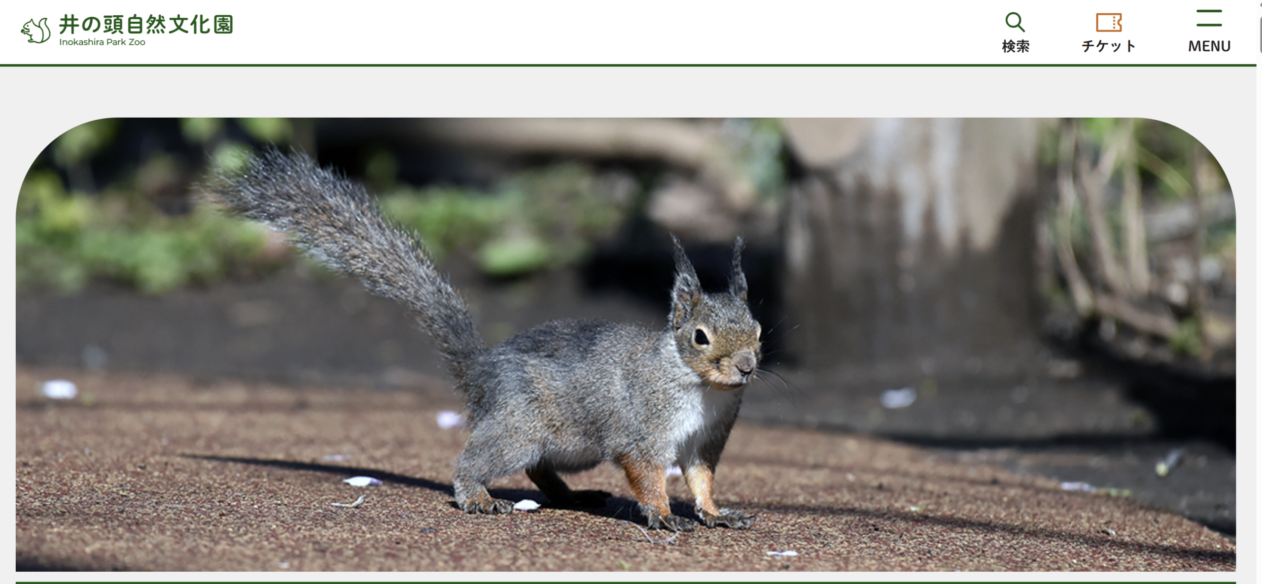 井の頭自然文化園 動物