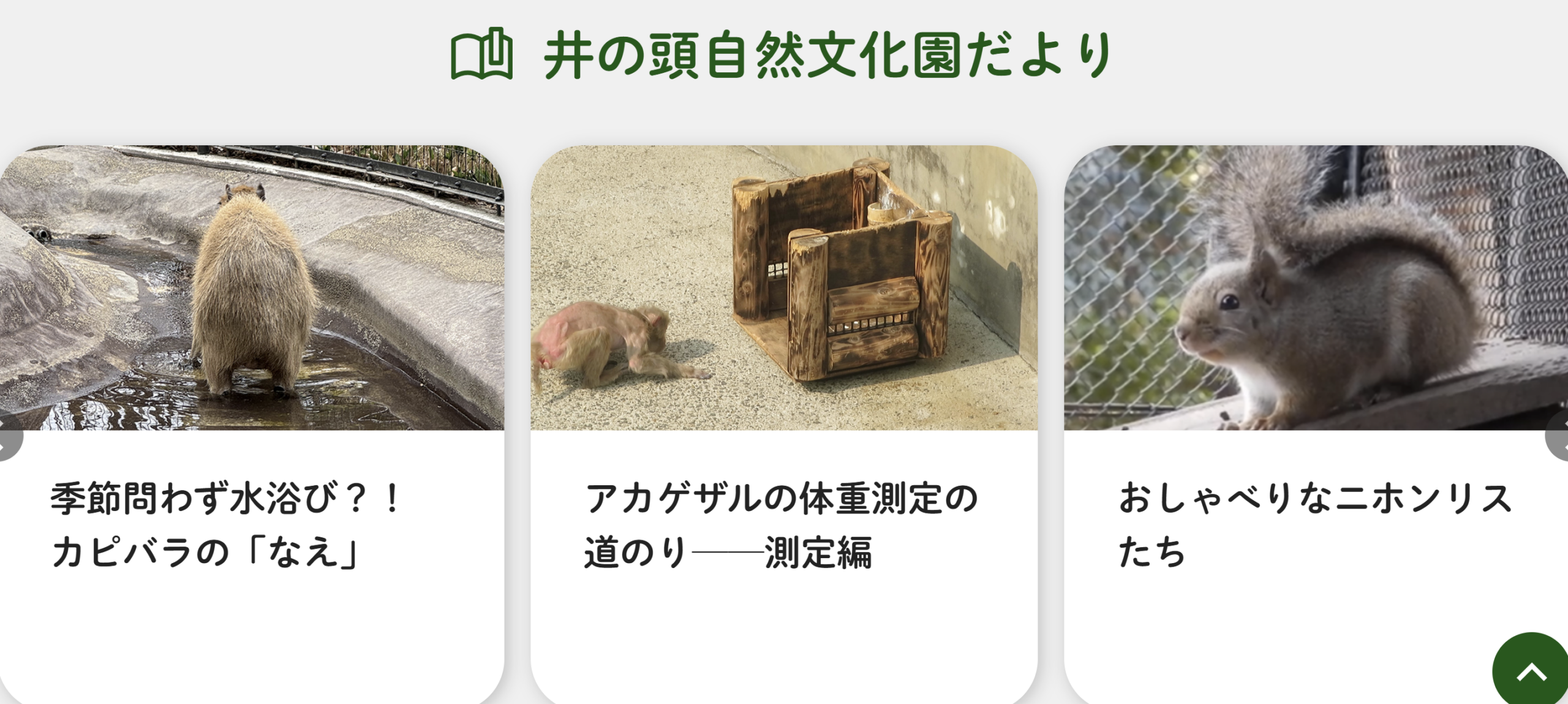 井の頭自然文化園