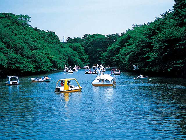 井の頭公園ボート体験