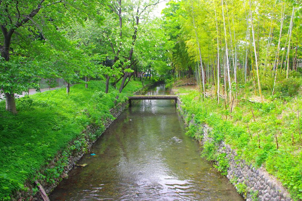 玉川上水の散歩道