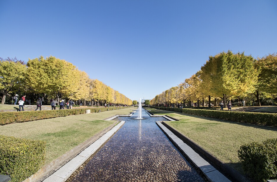 国営昭和記念公園
